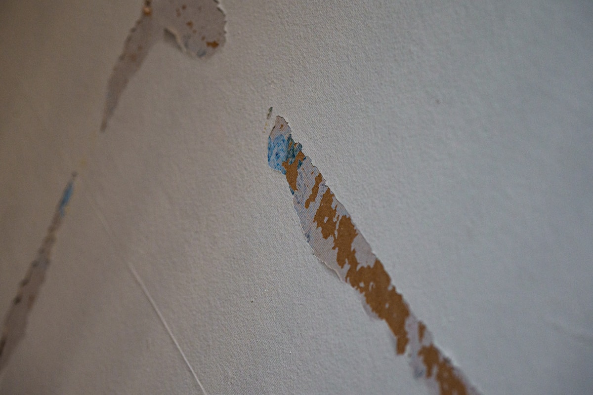 Mold Remediation service in Hawthorne, CA